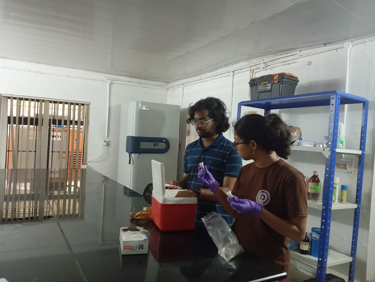 Wayanad November 2025